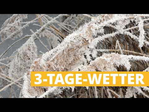 Wettergebnisse